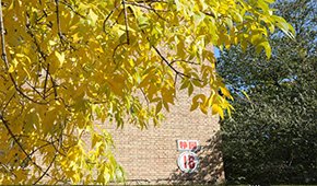 中国人民大学