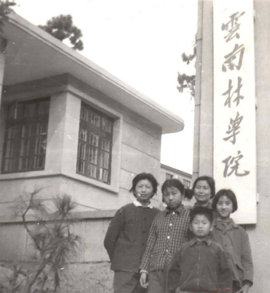 云南林学院楸木园校址大门