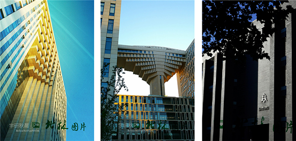 北京林业大学 - 最美大学