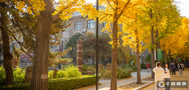 北京林业大学 - 最美大学