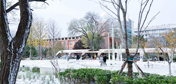 北京林业大学 - 最美大学