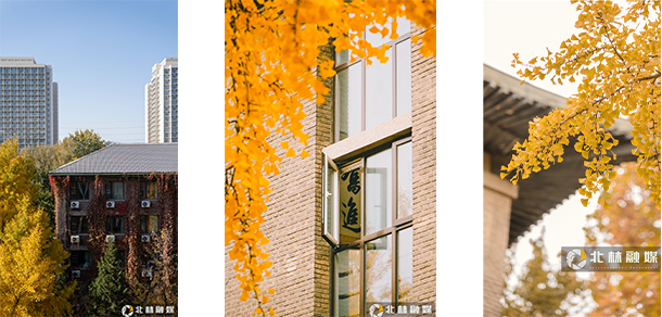 北京林业大学 - 最美大学