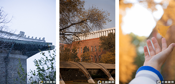 北京林业大学 - 最美大学