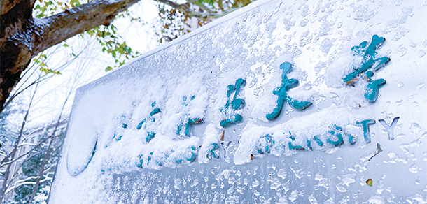 北京林业大学 - 最美大学