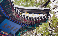 北京林业大学 - 我的大学
