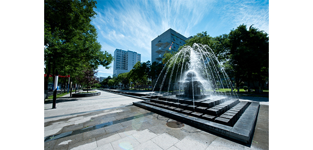 首都医科大学 - 最美大学