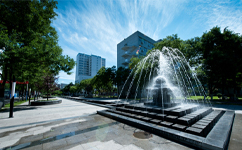 首都医科大学 - 我的大学