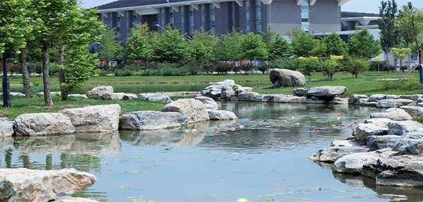 北京中医药大学 - 最美大学