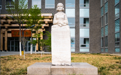 北京中医药大学 - 我的大学