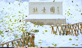北京师范大学