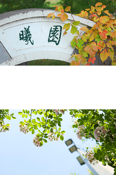 北京师范大学