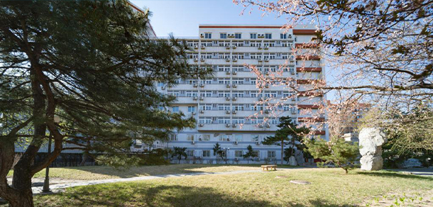 北京语言大学 - 最美大学