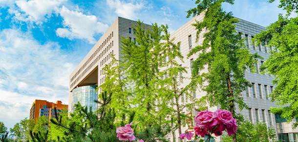 北京语言大学 - 最美大学