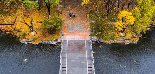 中国传媒大学 - 最美大学