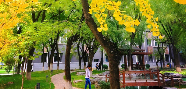 2021年招生计划
