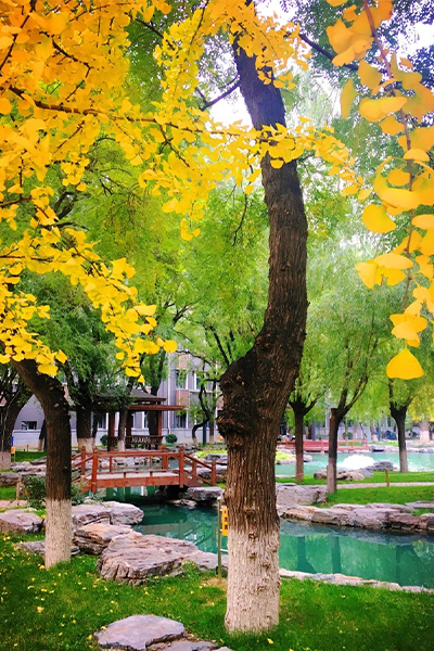 中国传媒大学