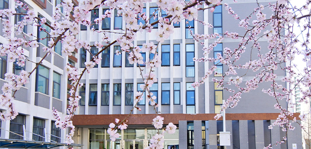 中央财经大学 - 最美大学