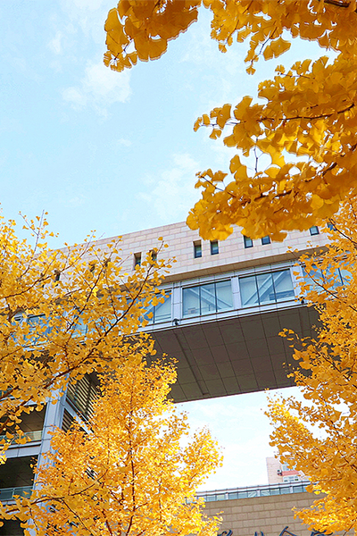 中央财经大学