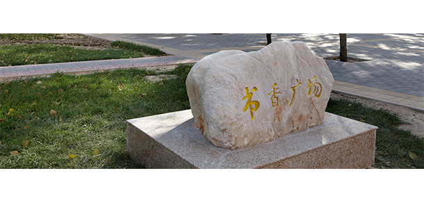 对外经济贸易大学 - 最美大学