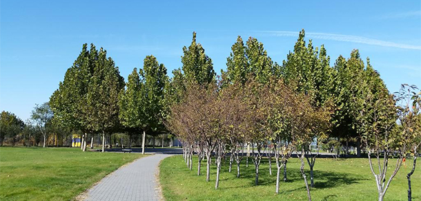 北京物资学院 - 最美大学