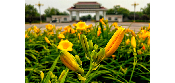 2021年招生分数
