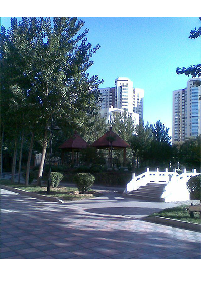 国际关系学院