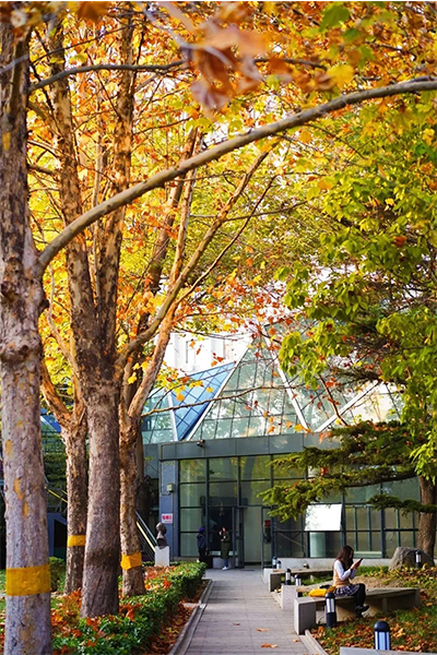 北京电影学院
