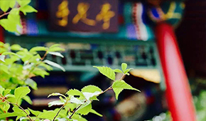 中国矿业大学（北京）