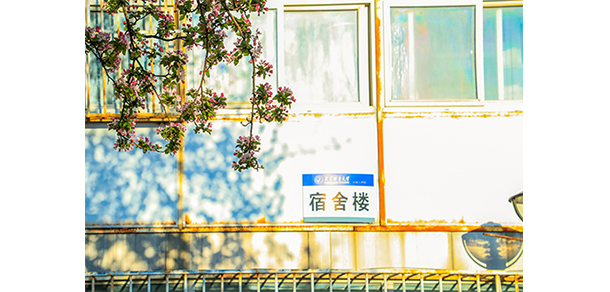 2022年招生简章