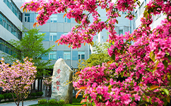 北京联合大学 - 我的大学