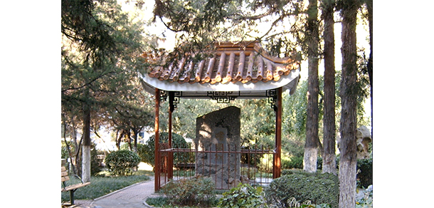 中国劳动关系学院 - 最美大学