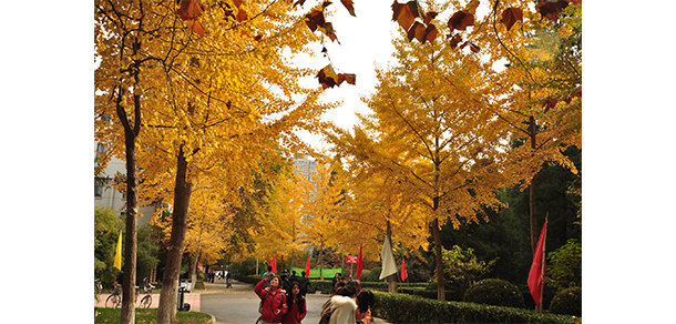 中国劳动关系学院 - 最美大学