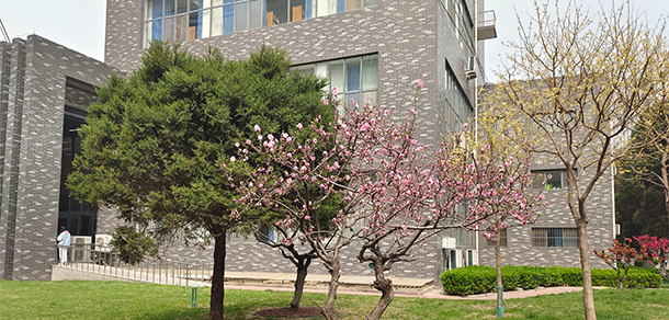 中国劳动关系学院 - 最美大学