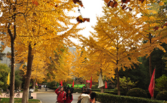 中国劳动关系学院 - 我的大学