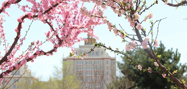 北京邮电大学世纪学院 - 最美大学