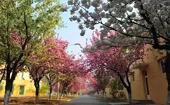 北京工业大学耿丹学院 - 我的大学