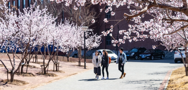 中国科学院大学 - 最美大学