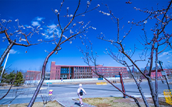 中国科学院大学