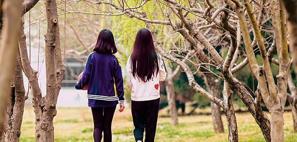 北京科技职业大学 - 最美院校