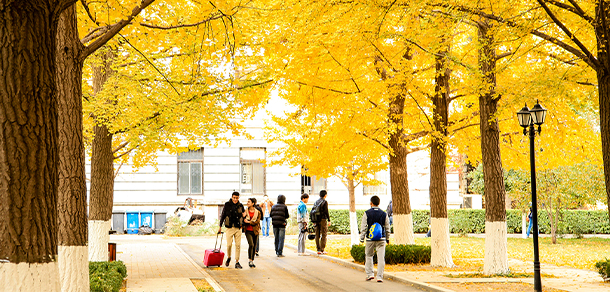 北京科技大学 - 最美大学