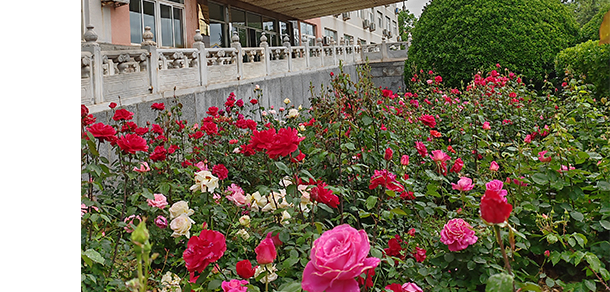 北京经贸职业学院 - 最美大学