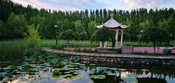 北京经济技术职业学院 - 最美大学