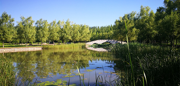 北京经济技术职业学院 - 最美大学