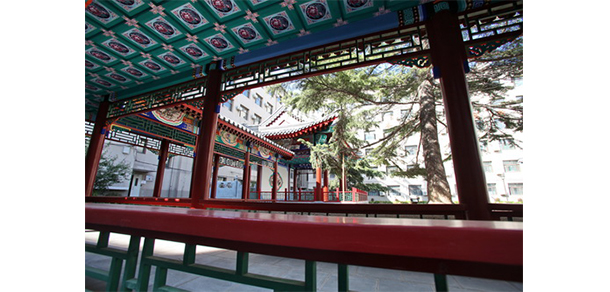 北京戏曲艺术职业学院 - 最美大学