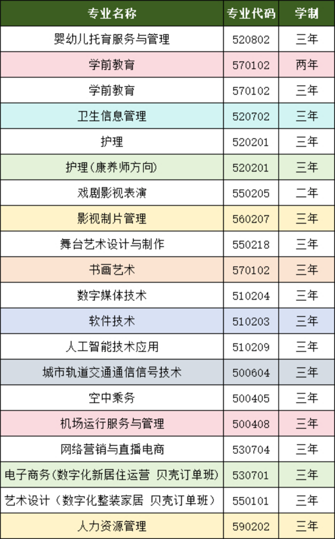 2024年招生专业及代码