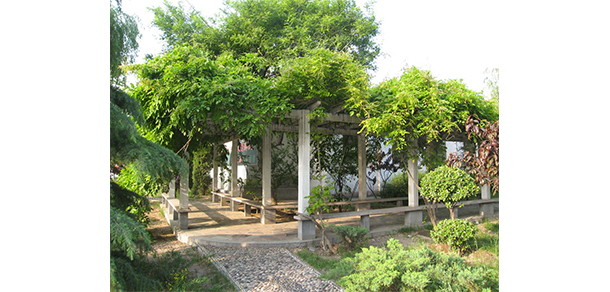 北京培黎职业学院 - 最美大学