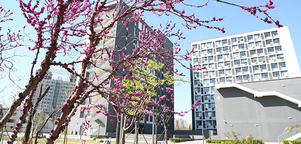 北京经济管理职业学院 - 最美大学