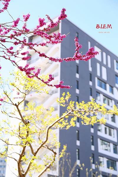 北京经济管理职业学院