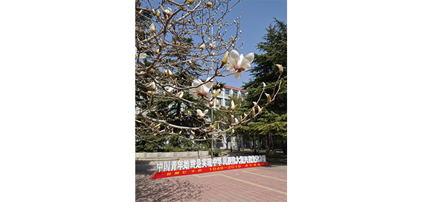 2021年招生计划