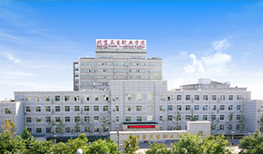北京卫生职业学院